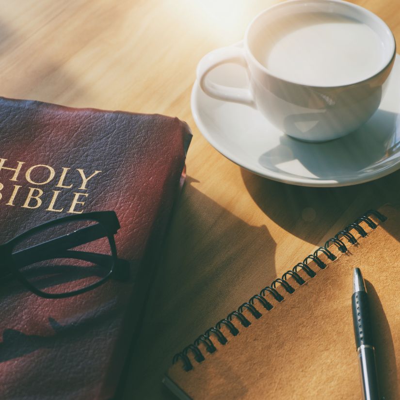 Precious Blood Companions