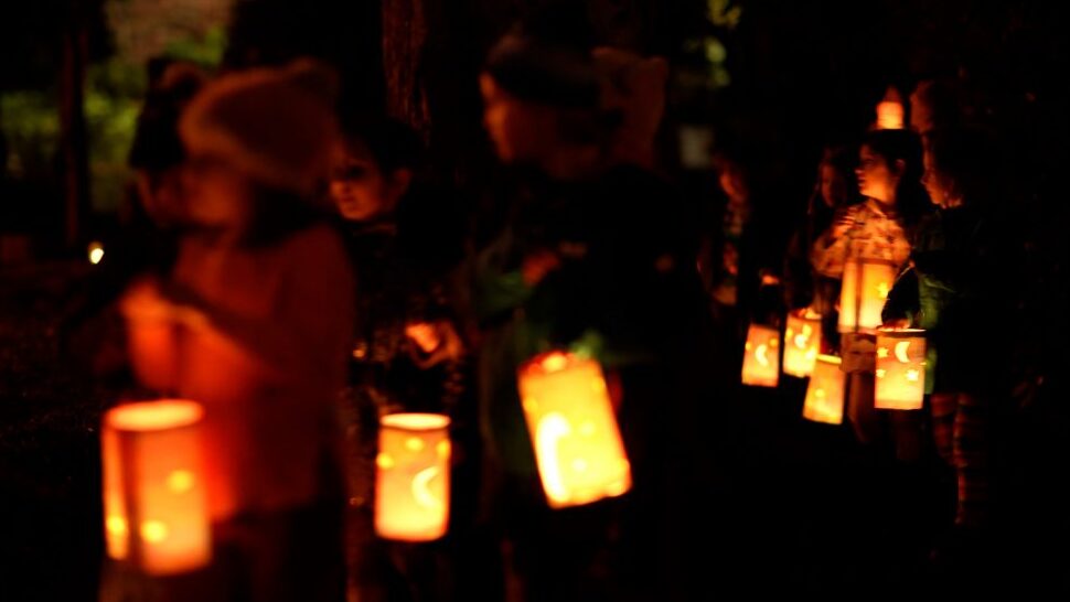 Martinas Lantern Walk