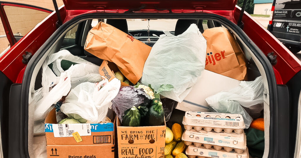 fish produce august 2