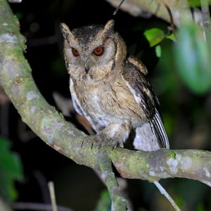 Web Calendar Photos (2)