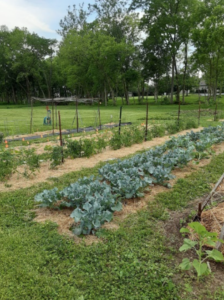 Screenshot 2026 03 02 090417