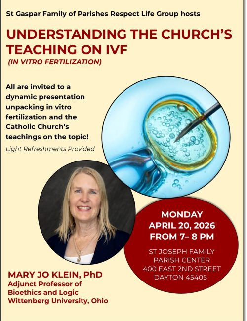 IVF Presentation Flyer